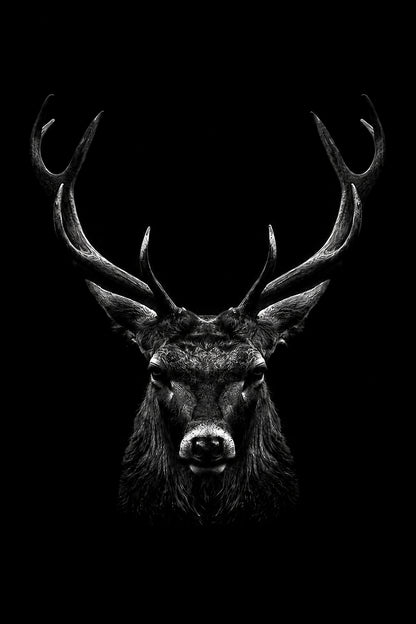 Vương Giả Bóng Đêm — Tranh Canvas Nai (Hươu) Dark Moody Động Vật Uy Nghi Tĩnh Tại