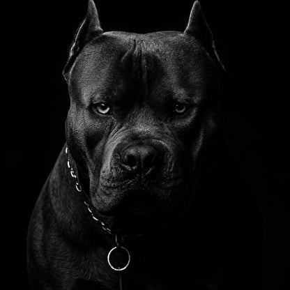 Bóng Tối Kiêu Hãnh — Tranh Canvas Dark Moody Sức Mạnh & Trung Thành