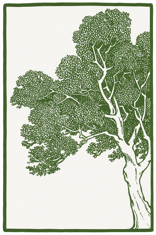 Cội Xanh Vững Chãi — Tranh Canvas Line Art Cây Bình Yên