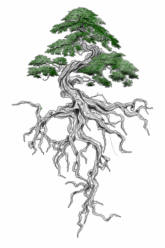 Cội Rễ Trường Tồn — Tranh Canvas Bonsai Line Art Xanh Lá Tĩnh Tại